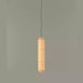 Tekio Imitation Silk Pendant Lamp - Simprolos
