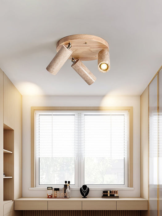 Terra Beam Ceiling Light - Simprolos