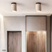 Terra Cylinder Ceiling Light - Simprolos