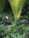 Terra Focus Outdoor Spot Light - Simprolos