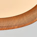Terra Forge Ceiling Light - Simprolos
