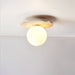 Terra Globe Ceiling Light - Simprolos