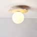 Terra Globe Ceiling Light - Simprolos