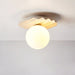 Terra Globe Ceiling Light - Simprolos