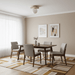Terra Globe Ceiling Light - Simprolos