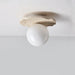 Terra Globe Ceiling Light - Simprolos
