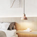 Terra Halo Pendant Light - Simprolos