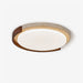 Terra Orbit Ceiling Light - Simprolos