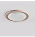 Terralux Ceiling Light - Simprolos
