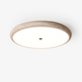 Textured Travertine Disk Ceiling Light - Simprolos