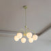 Tulip Matcha Chandelier - Simprolos