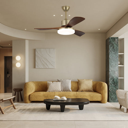 Vega Ceiling Fan Light - Simprolos