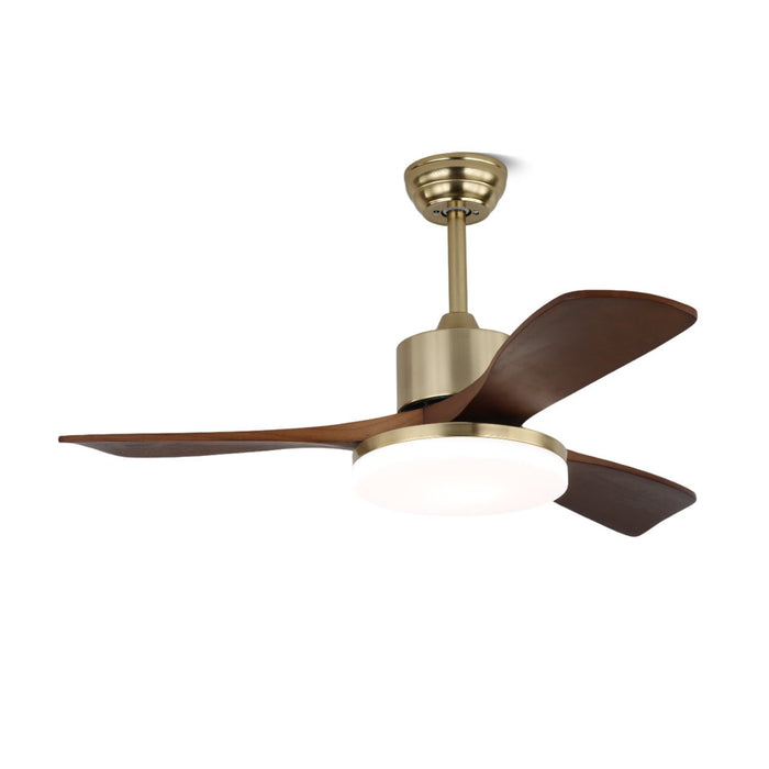 Vega Ceiling Fan Light - Simprolos