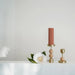 Verdant Sphere Candle Holder - Simprolos