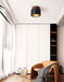Volcanic Glow Ceiling Light - Simprolos