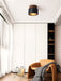 Volcanic Glow Ceiling Light - Simprolos