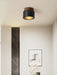 Volcanic Glow Ceiling Light - Simprolos