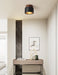 Volcanic Glow Ceiling Light - Simprolos
