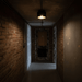 Volcanic Glow Ceiling Light - Simprolos