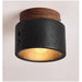 Volcanic Glow Ceiling Light - Simprolos