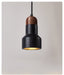 Vulcan Stone Pendant Light - Simprolos