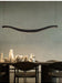 Waveform Chandelier - Simprolos