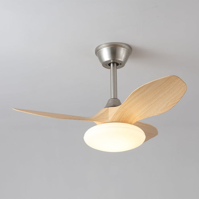 Zephira Ceiling Fan Light - Simprolos