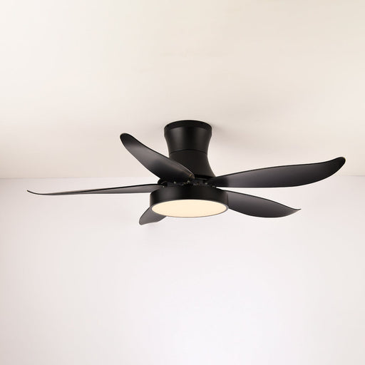 Zephyr Noir Ceiling Fan Light - Simprolos